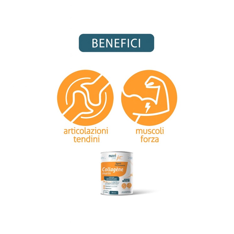 collagene articolazioni tendini